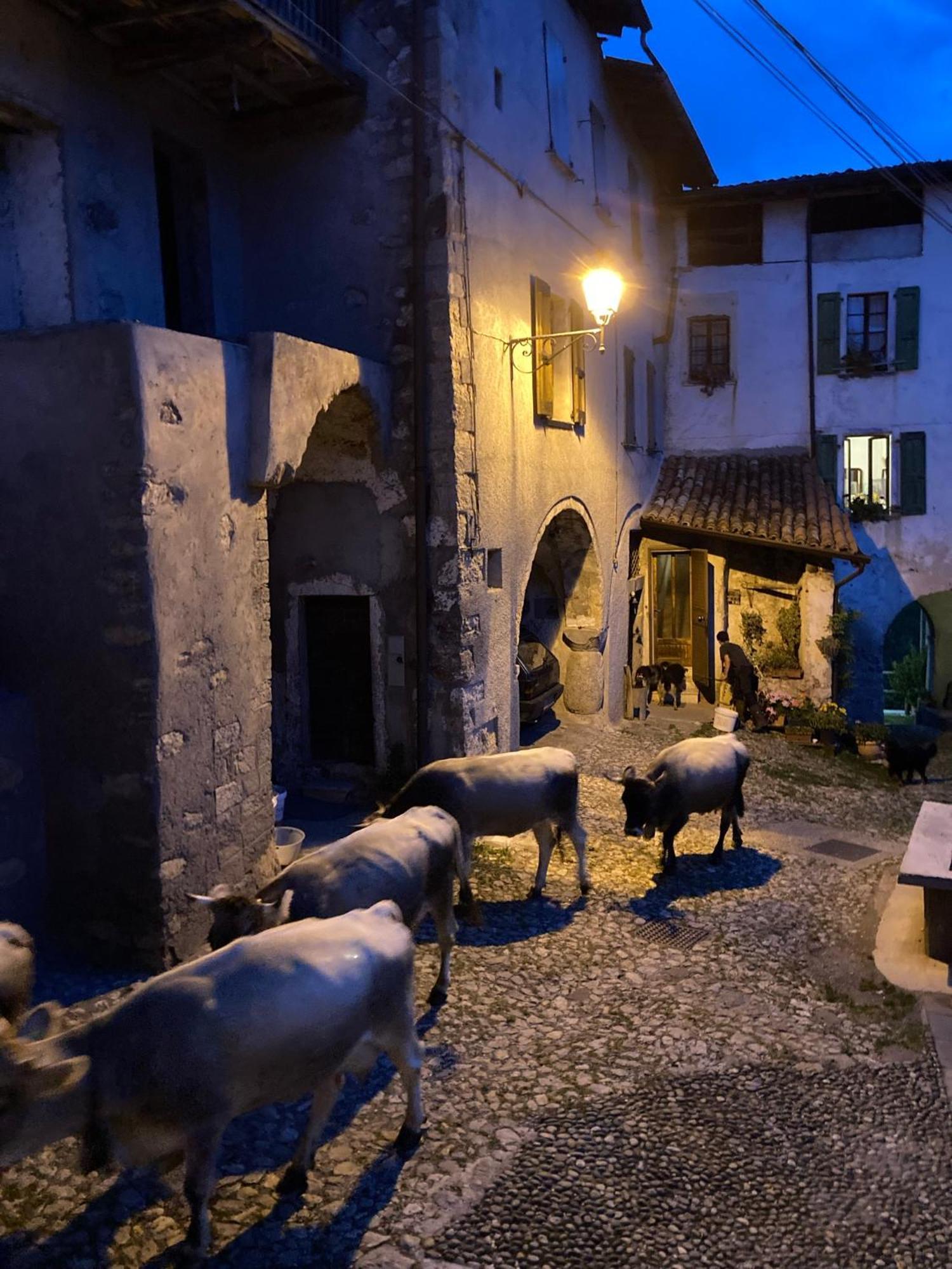 A Casa Di Gianni E Mari Bed & Breakfast Vestone ภายนอก รูปภาพ