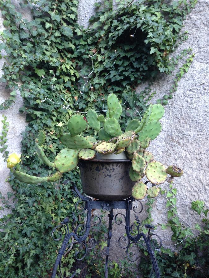 A Casa Di Gianni E Mari Bed & Breakfast Vestone ภายนอก รูปภาพ